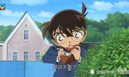 娱乐吃瓜酱柯南